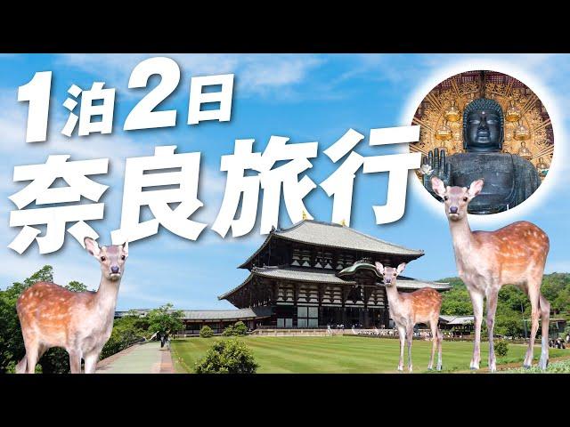 Traveling To Nara, The Sacred Land of Deer For 2 Days!