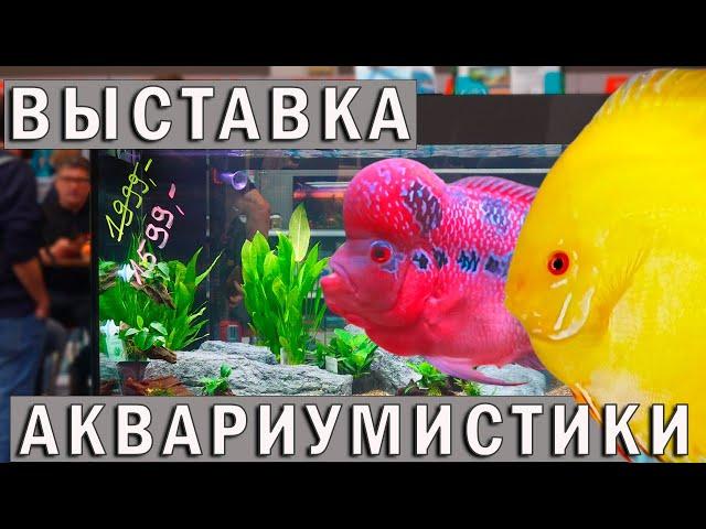 Выставка аквариумных рыбок Ульм! Птичий Рынок Аквариумные рыбки, растения,  ассортимент! 4К