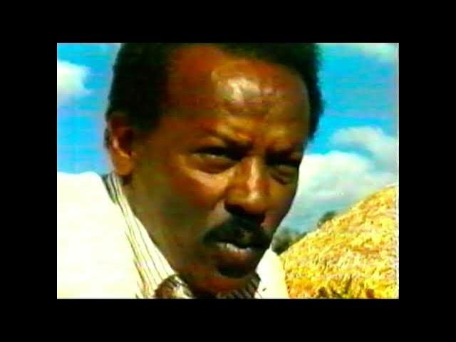 Engineer Asgedom - Weldemichael ሓላፋይ'ዩ ሽግር Official Music Video #2023