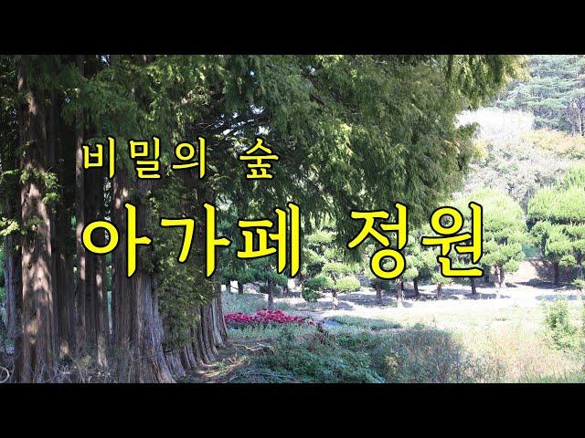 비밀의 숲 익산 아가페정원 | #아가페정원 #아가페정양원 #메타세쿼이아 #섬잣나무 #익산가볼만한곳 #정원여행 #민간정원 #익산여행 #한국여행작가협회 #김차중작가