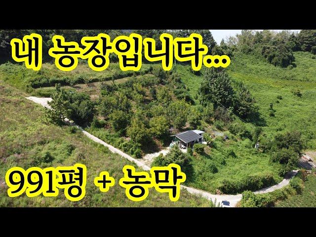 제 농장을 팝니다. 충북 제천 ~계획관리~ 991평+농막 ~ 아방궁 농장 주말쉼터 닭 키우기 ~염소~호두나무30주 체리30주 대추 복숭아 감나무 소나무자급자족 최종 7,200만원