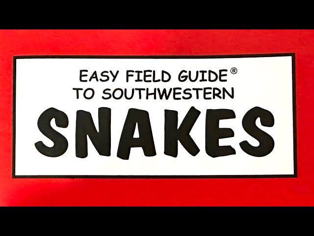 Rattlesnake Bites & Venom | Red Rock Canyon Park