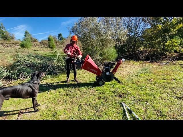 Living OFF-GRID on 1 Hectare of LAND in PORTUGAL