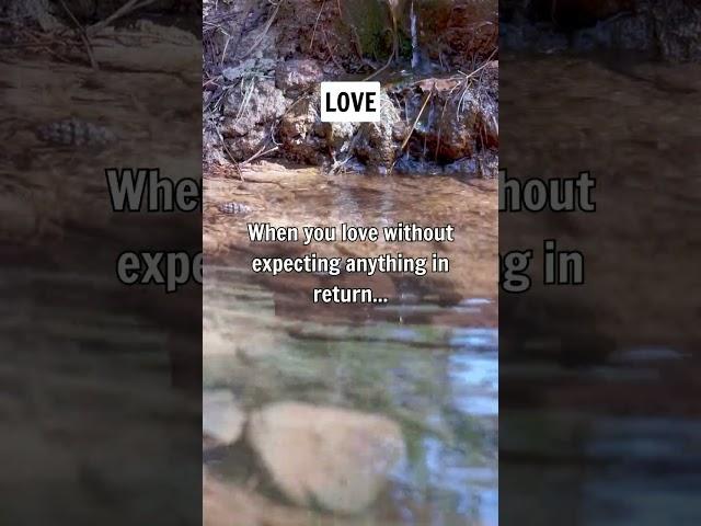 When you love without expecting anything in return...