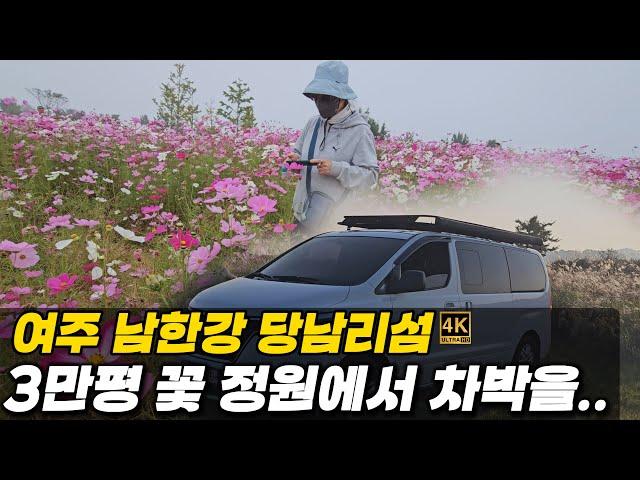 당남리섬/입장료 주차무료 3만평 규모의 꽃의 정원-가로침상 스타렉스 차박여행