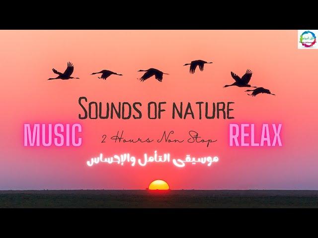 MUSIC INSTRUMENTAL NATURE RELAXING - موسيقى التأمل والإحساس