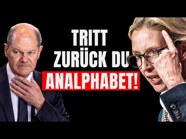 BLITZMELDUNG! Alice Weidel RASTET KOMPLETT AUS Und ZERLEGT Ganze Regierung!