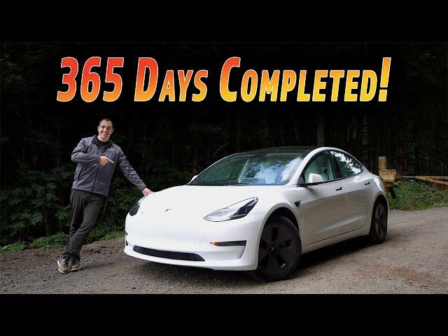 1 Year With Only 1 Option | 1 Year Review of the Tesla Model 3