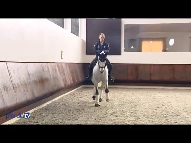 Dressurmäßige Arbeit & Trainingsphilosophie | Working Equitation | Pedro Torres