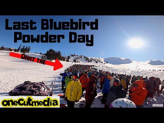 Last Bluebird Powder Day of the Season    @WhistlerBlackcomb   2020    onecutmedia