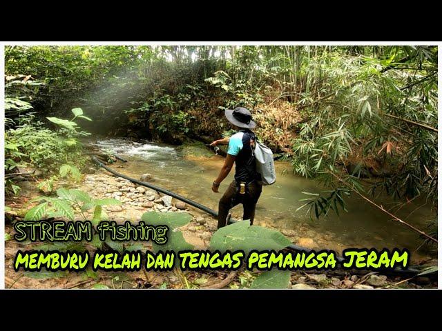 mountain stream fishing malaysia | copper masheer Strike!!