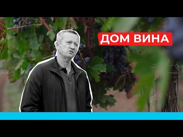 Как построить семейный и экологичный бизнес? Винодельческое хозяйство. Крым