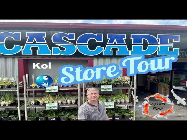 Cascade Koi Store Tour