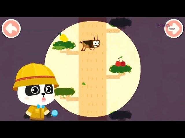 AYO MENGENAL NAMA HEWAN||Molita tv #babybus #molitavv