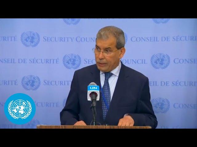 Yemen on detention of UN, diplomatic and NGO staff in Yemen - Security Council Media Stakeout