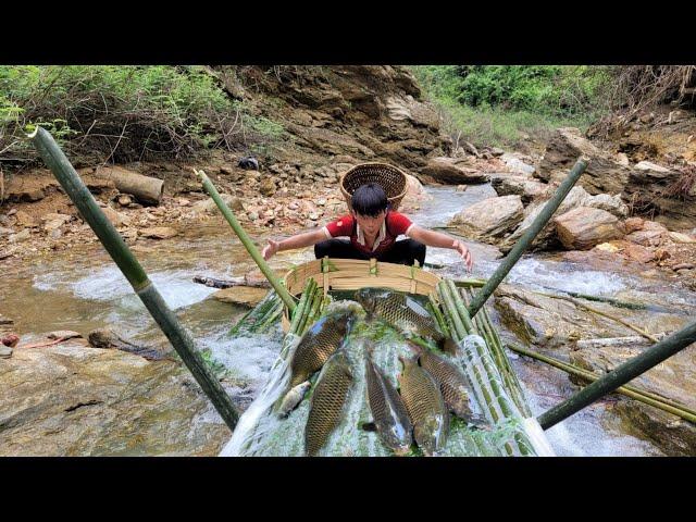 The boy used bamboo to make a trap to catch fish in the stream.