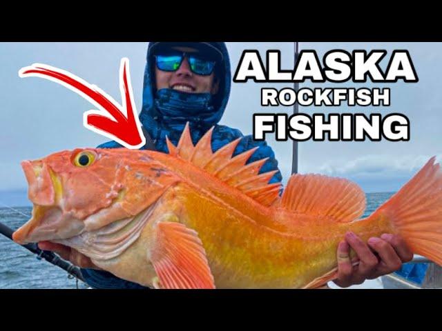 Alaska Rockfish Fishing! J-DOCK Fishing Charter! (Seward, Alaska)