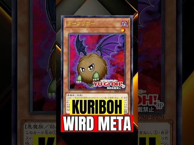 Kuriboh bald in jedem Deck?! Was steckt hinter dem neuen Support?