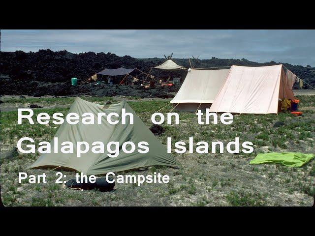 Research on the Galapagos Islands, Part 2: The Campsite in Cabo Hammond.