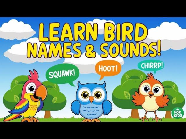 Learn Bird Names and Sounds for Kids | Fun Learning video.