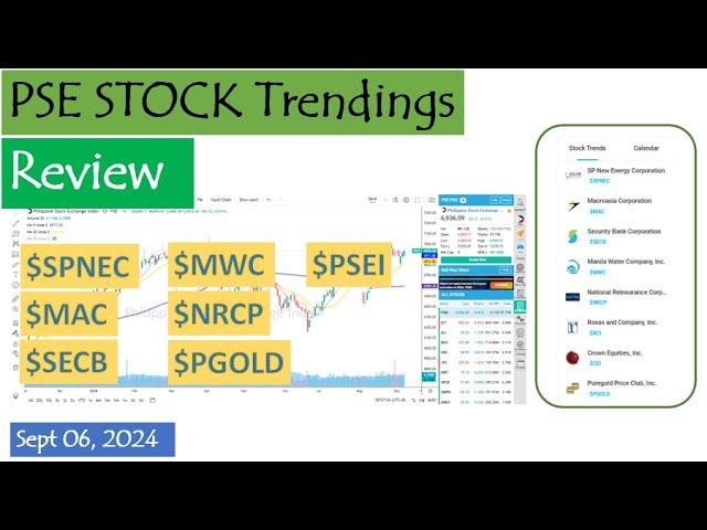 PSE Stock Trendings Review: September 06, 2024