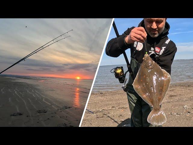 PLAICE FISHING MOSTYN & BASS HUNT AT PRESTATYN BEACH | NORTH WALES | MASTERFISHERMAN