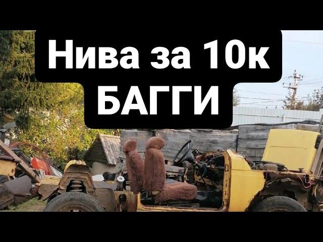 Купили ниву совместно с Тоха Стантер для багги