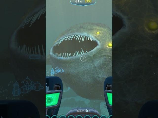 Subnautica Bloop and Blaza