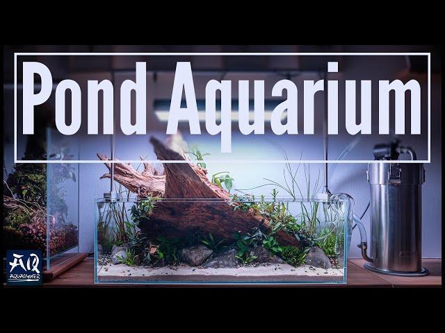 Pond Style Aquarium mit Teichpflanzen - Komplette Einrichtung | AquaOwner