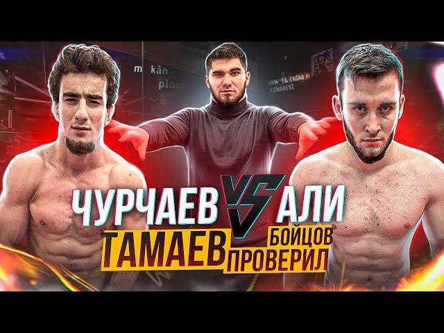 Чурчаев vs Али. Тамаев проверил Бойцов!