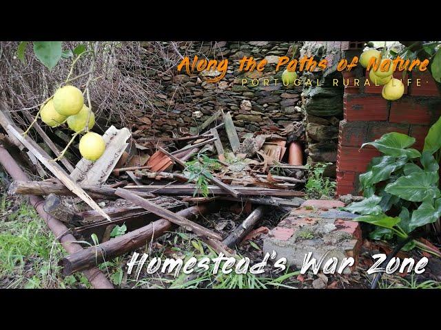 HOMESTEAD'S WAR ZONE (Tackling dangerous ruined coops at my off-grid farm in Central Portugal) *28