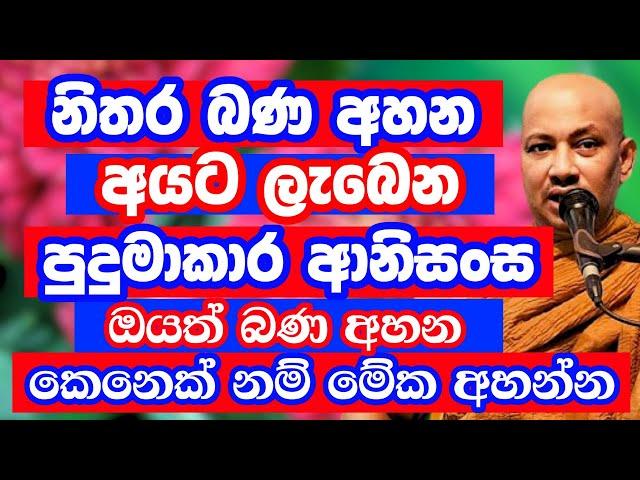 බණ අහන අයට ලැබෙන පුදුමාකාර ආනිංසස | Borelle Kovida Thero Bana | Budu Bana | Bana