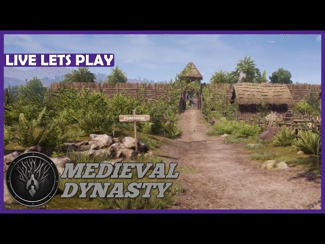 MEDIEVAL DYNASTY ️ Auf die Größe kommt es an! | LIVE LETS PLAY | #050