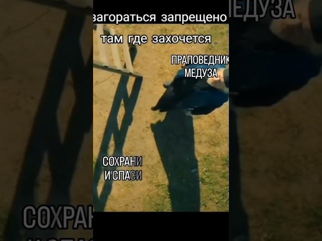 Реклама канала "Медуза Горгона и зеркало"