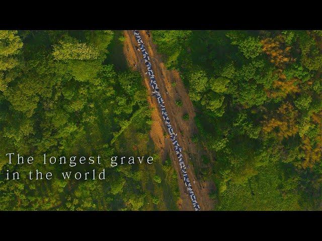 KBS The Korean War Special Documentary 'The longest grave in the world' / KBS대전 20210615 방송