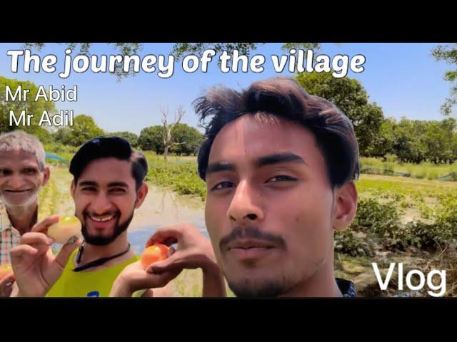 Journey of the village | Mr Abid | Mr Adil | in summer season | vlog | jungle vlog