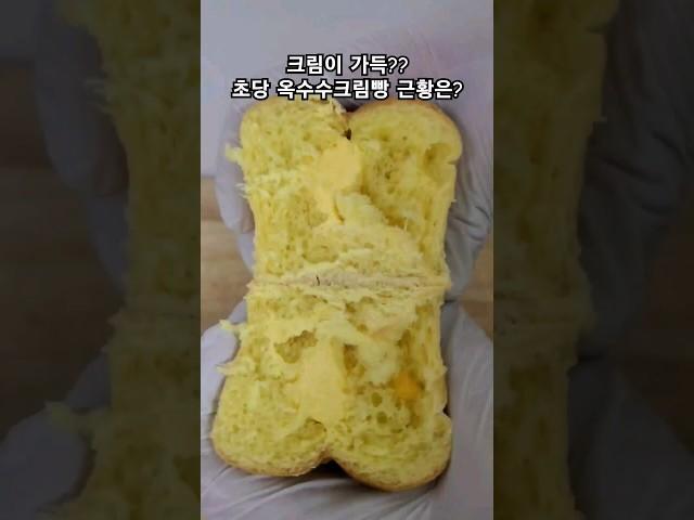 크림 가득하다던 초당 옥수수 크림빵 근황은? (corn cream bread)#conveniencestore