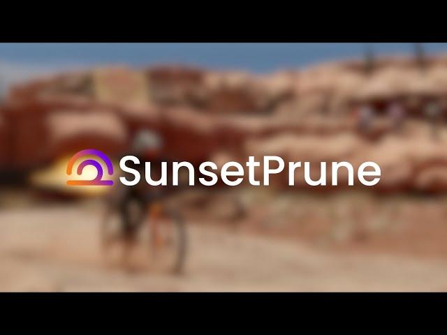 SunsetPrune Studios 2024 Showreel