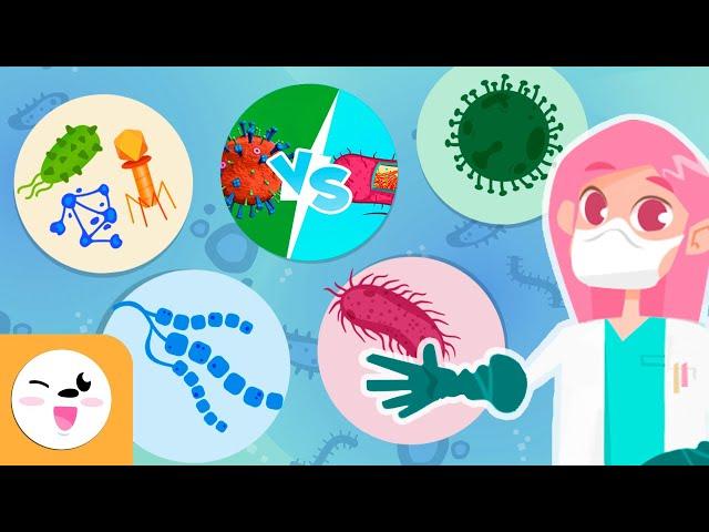 Microorganisms - Compilation Video - Bacteria, Viruses and Fungi - Explanation for Kids