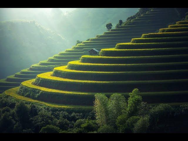 How to Travel Bali 2020 | Digital Travel to Bali Indonesia | Bali Vacation Travel Guide