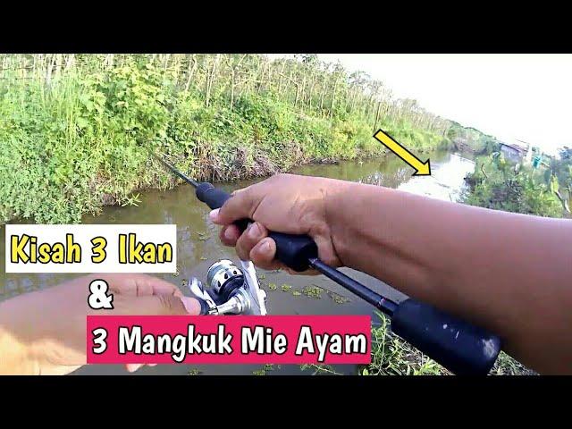 Nekat ! Ikan - Ikan Penghuni Parit Kecil Ini Terciduk