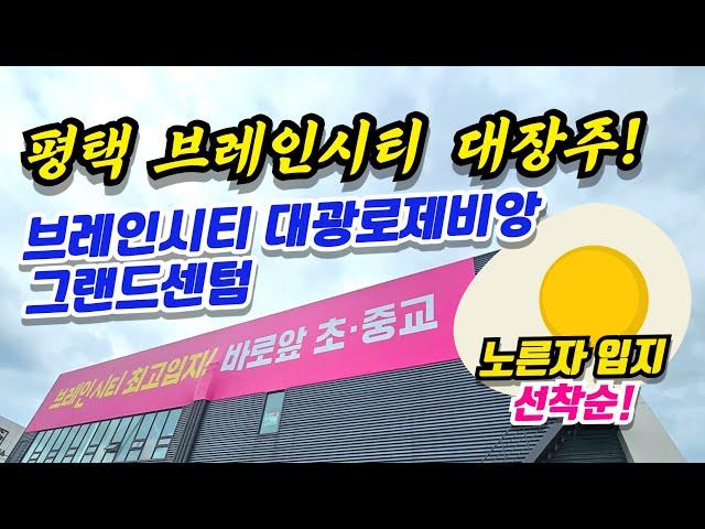 평택 브레인시티 대광로제비앙 그랜드센텀 미래 대장주 미분양 아파트 노른자 위치!