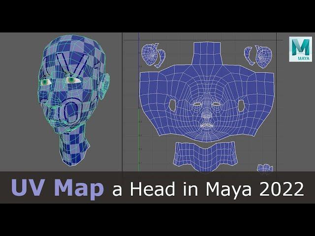 How to UV Map a Head in Maya 2022