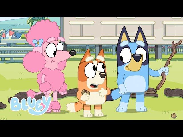 Fun in the Park with Bluey and Bingo | Bluey