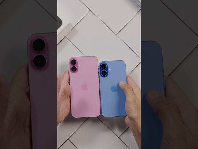 iPhone 16 vs iPhone 16 Plus Comparision #smartphone