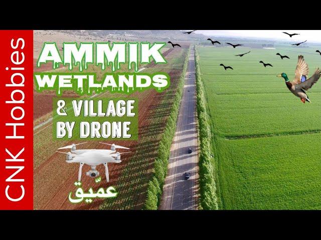 Ammiq Wetlands By Drone @ Skaff estate  in 4K | عمّيق, البقاع