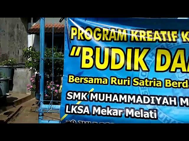 #budikdamber Yuk Belajar & Diskusi diKebun Budikdamber RSB SOBAT EMBER JOGJA; Ruri Satria Berdasi