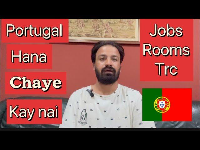 Should you come to Portugal ? In Hindi / Portugal immigration/ jobs in Portugal / apportionments