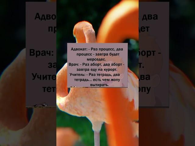 Анекдот дня #настроение #анекдот #прикол #юмор #анекдоты #мем #смех #приколы