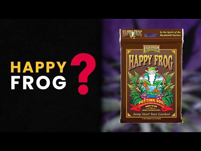 How to Get the Best Results with Happy Frog?